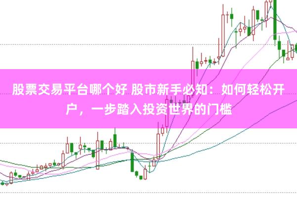 股票交易平台哪个好 股市新手必知：如何轻松开户，一步踏入投资世界的门槛