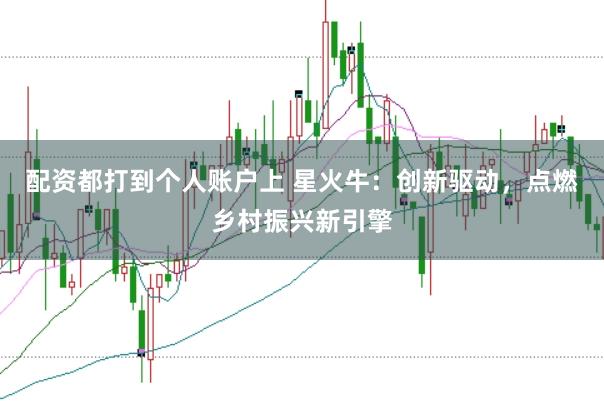 配资都打到个人账户上 星火牛：创新驱动，点燃乡村振兴新引擎