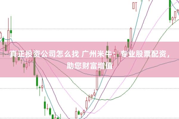 真正投资公司怎么找 广州米牛：专业股票配资，助您财富增值