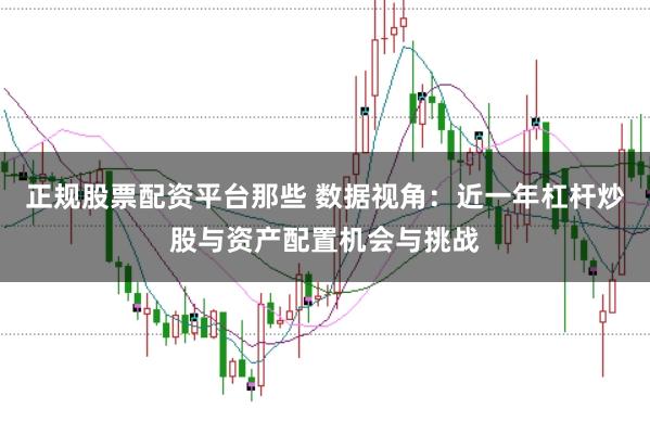 正规股票配资平台那些 数据视角：近一年杠杆炒股与资产配置机会与挑战