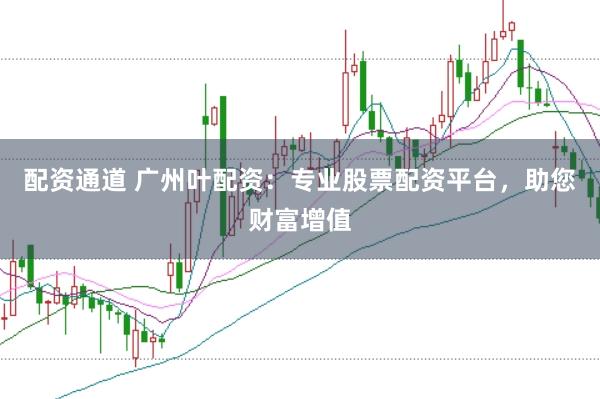 配资通道 广州叶配资：专业股票配资平台，助您财富增值