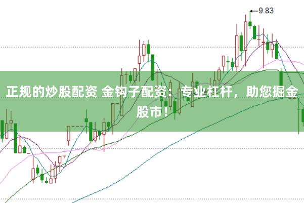 正规的炒股配资 金钩子配资：专业杠杆，助您掘金股市！