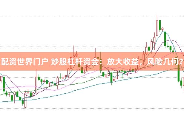 配资世界门户 炒股杠杆资金：放大收益，风险几何？