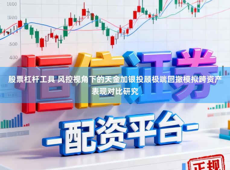 股票杠杆工具 风控视角下的天金加银投顾极端回撤模拟跨资产表现对比研究
